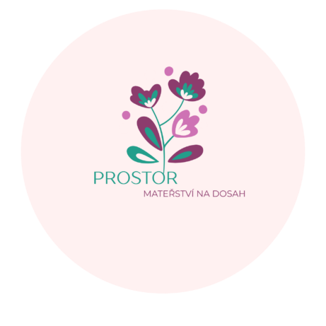 logo Prostor